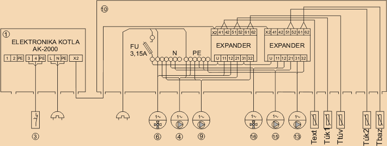schema p15
